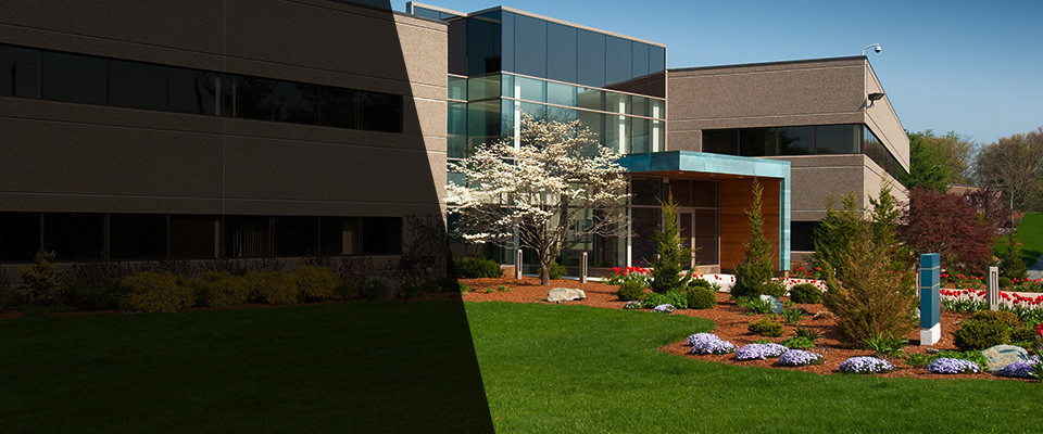 Palm Beach Landscapers