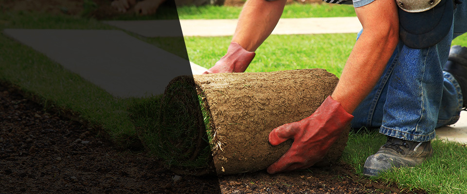 Palm Beach Landscapers